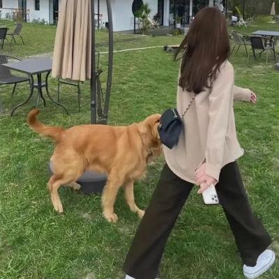 弱女斗后母